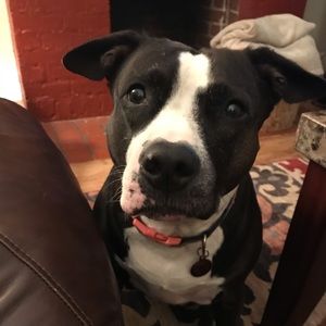 Meet your Posher, Ellie